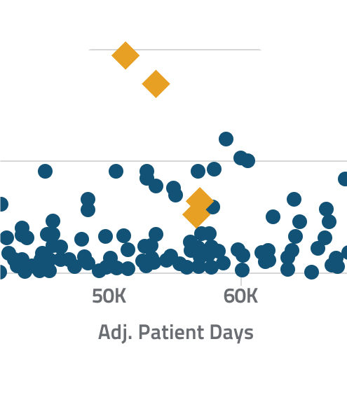 patient-days-graphic